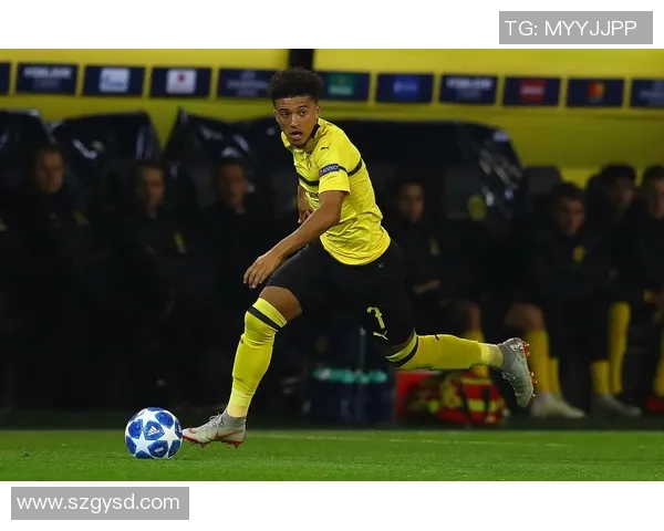 哥本哈根足球球星崛起记 从青训到欧洲赛场的荣耀与挑战