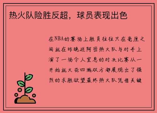 热火队险胜反超，球员表现出色